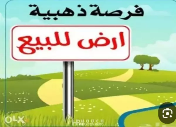 Terrain Tghazwissen 87269 m²