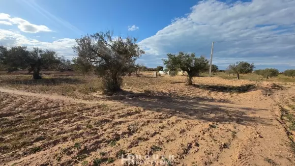 TERRAIN À VENDRE AVEC PERMIS – À 2 KM DE LA MER