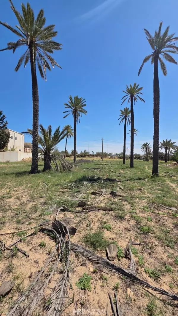 TERRAIN MAHBOUBINE ROUTE MIDOUN 2930M²